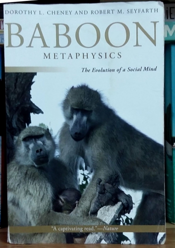 Baboon: The evolution of a social mind