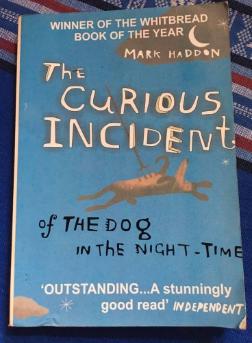 The curious incident of the dog