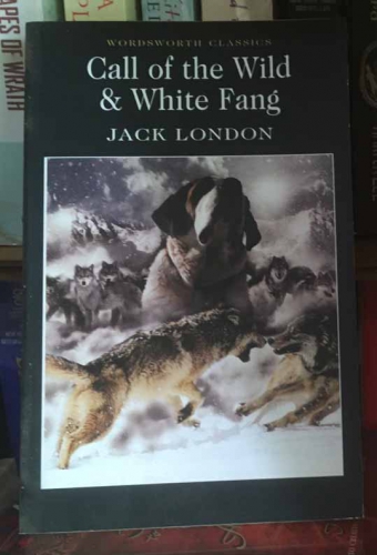 Call of the wild & white fang