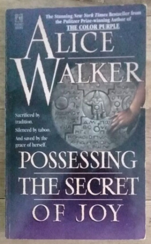 Possessing the secret of joy by Alice Walker