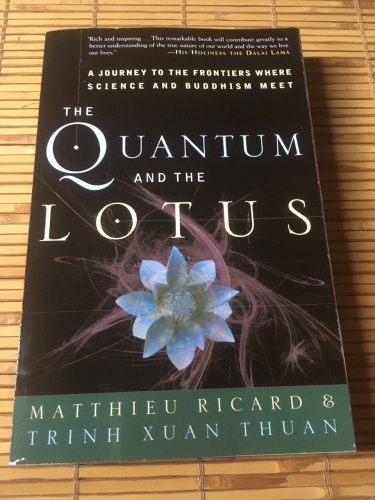 The quantum and the lotus