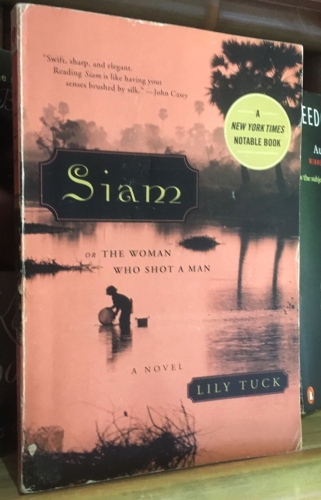 Siam or The Woman Who Shot A Man by Lily Tuck