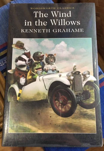The wind in the willows by Kenneth Grahame